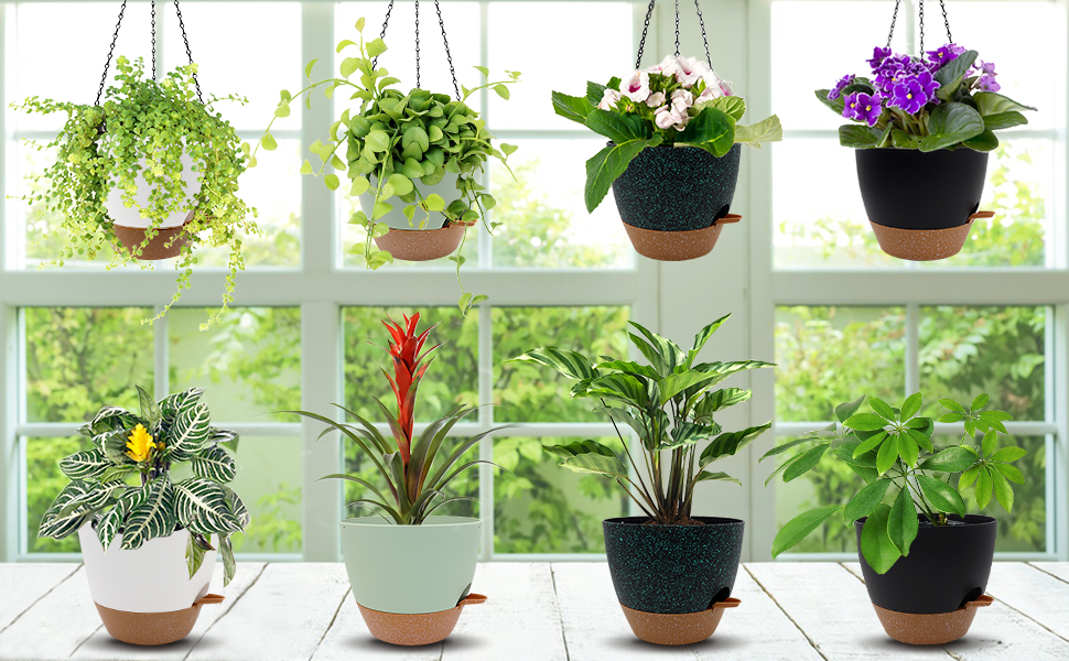 Beyoogeem 10 Inch Hanging Planters, 2 Pack Self Watering Hanging Planters for Indoor