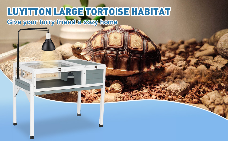 tortoise habitat