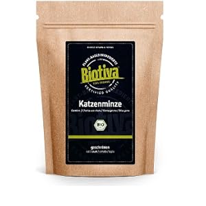 Katzenminze
