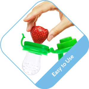 Silicone Baby Fresh Fruit and Food Feeder, Pacifier
