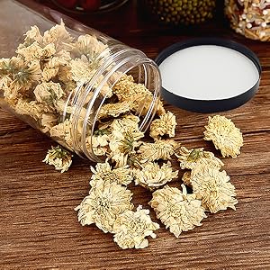 clear plastic plates