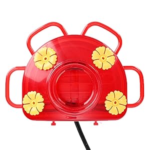 hummingbird heater
