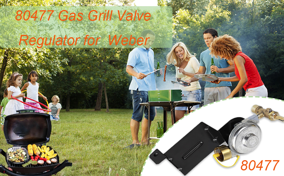 80477 Gas Grill Valve Regulator Compatible with er Q100