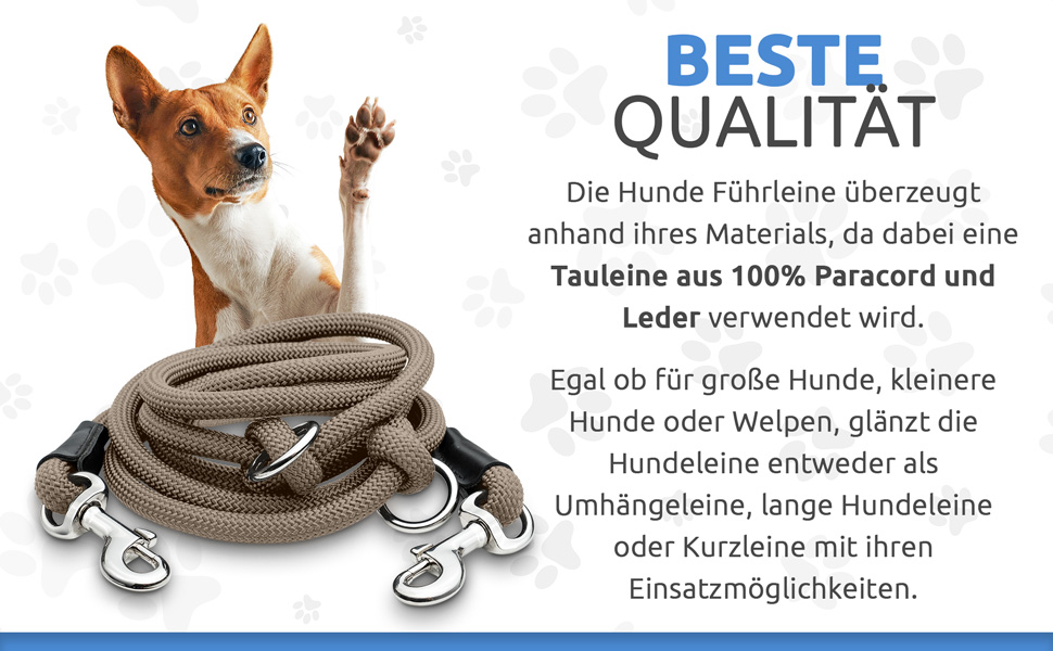 Qualitäts-Hundeleine