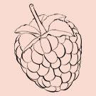 Clear Skin Kit Exfoliates dead skin dark spots Detoxifies your skin Antioxidants Acne Breakouts