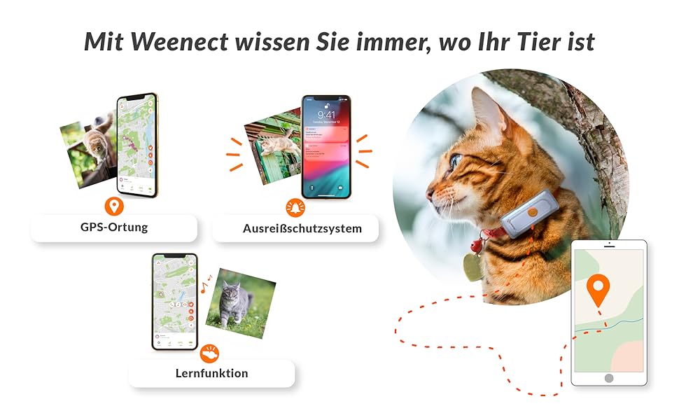 Weenect Cats 2 GPSTracker für Katzen GPSTracking in echtzeit