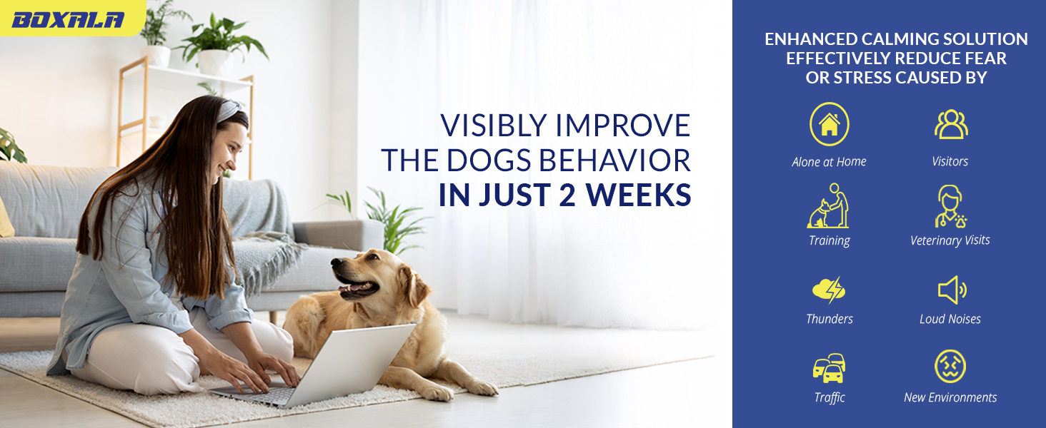 Pheromone Diffuser for Dogs