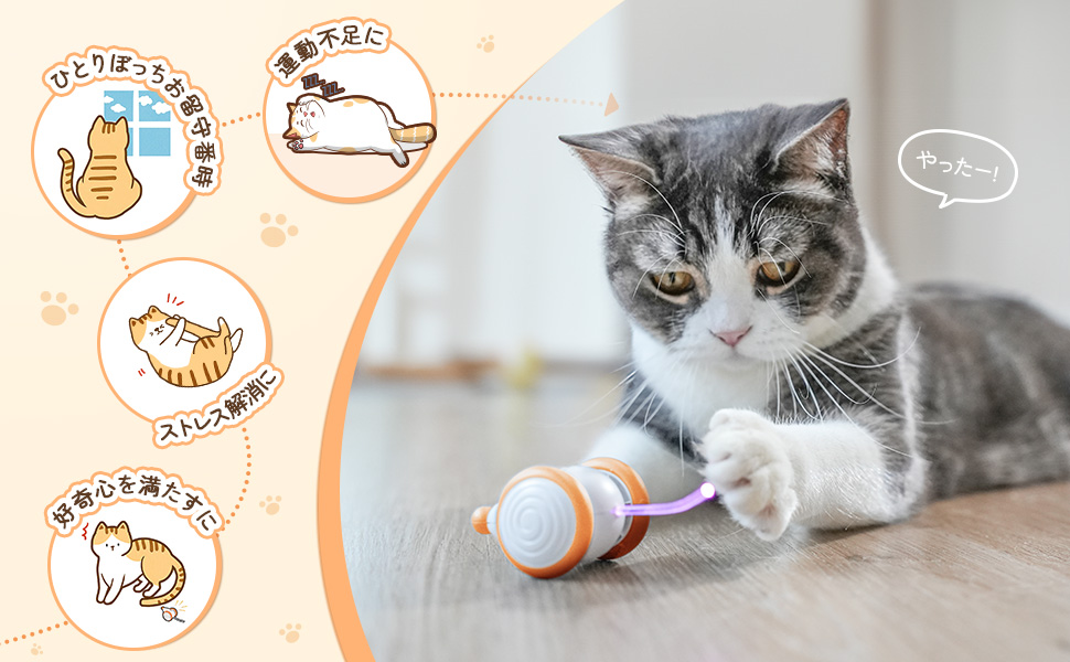 ミニマウスの電飾 Amazon.co.jp: Cheerble 猫おもちゃ 電動ねずみ ウィキッド