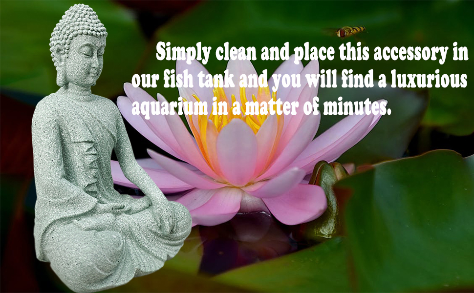 fish tank buddha