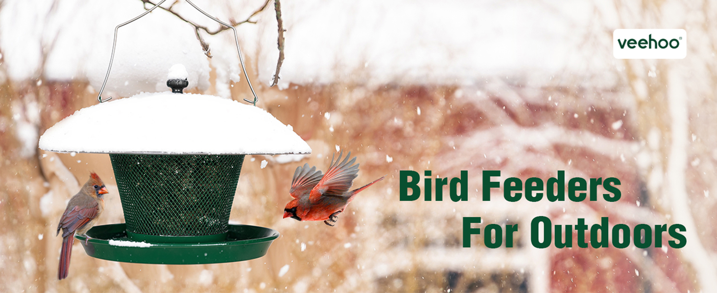 bird feeder