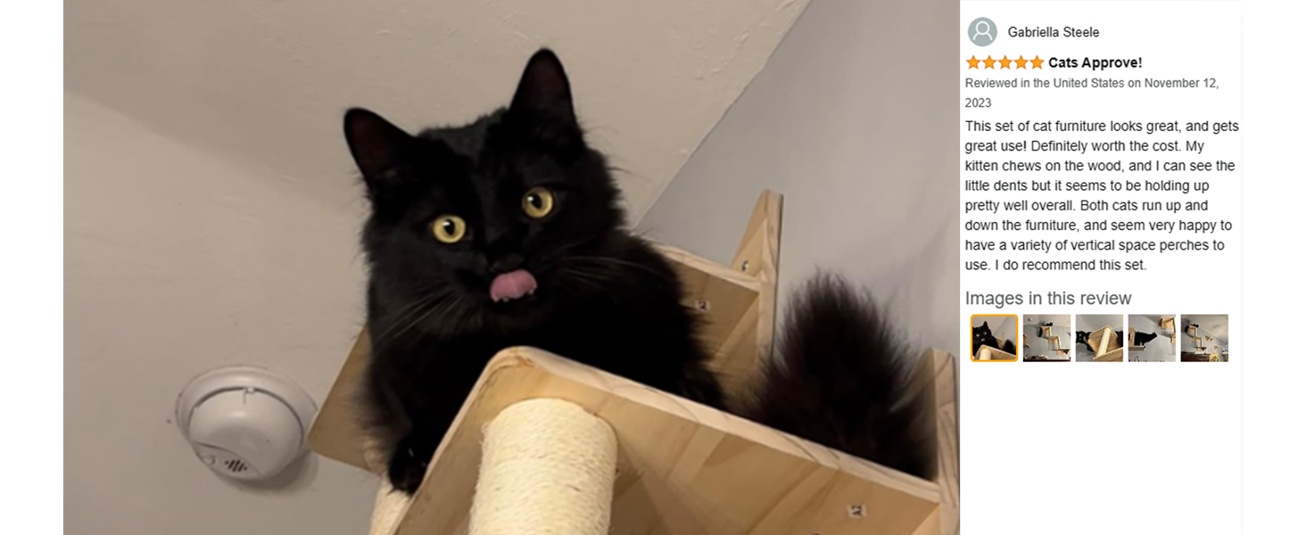 cat bridges and walkways for walls