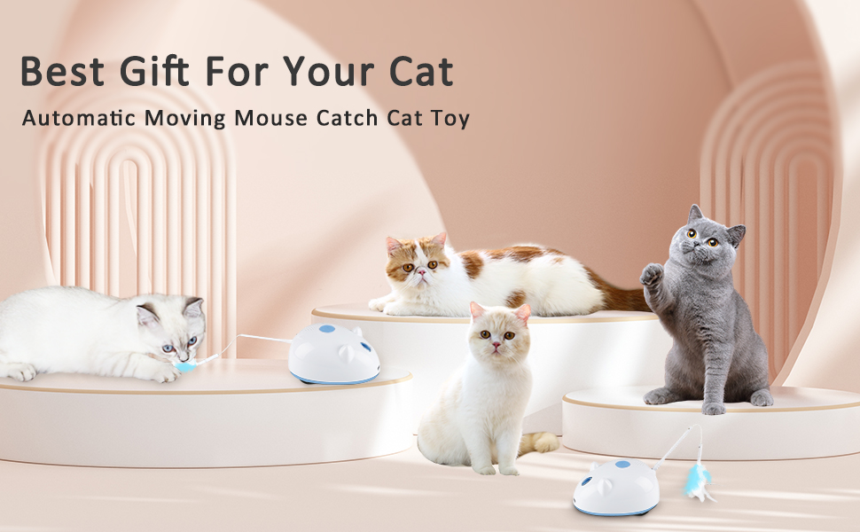 FEECOS Cat Toys,Interactive Cat Toys for Indoor Cats Automated Cat Light Toy Self