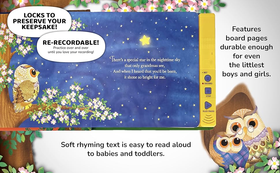 Grandma Wishes Recordable Keepsake Board Book Record
