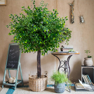 Small manufacture image 5