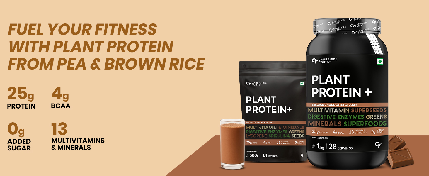 Plant Protein