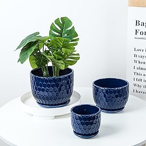 Nattol Ceramic Flower Plant Pots with Saucers - Set of 3