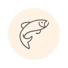 Nachhaltige Fischzucht