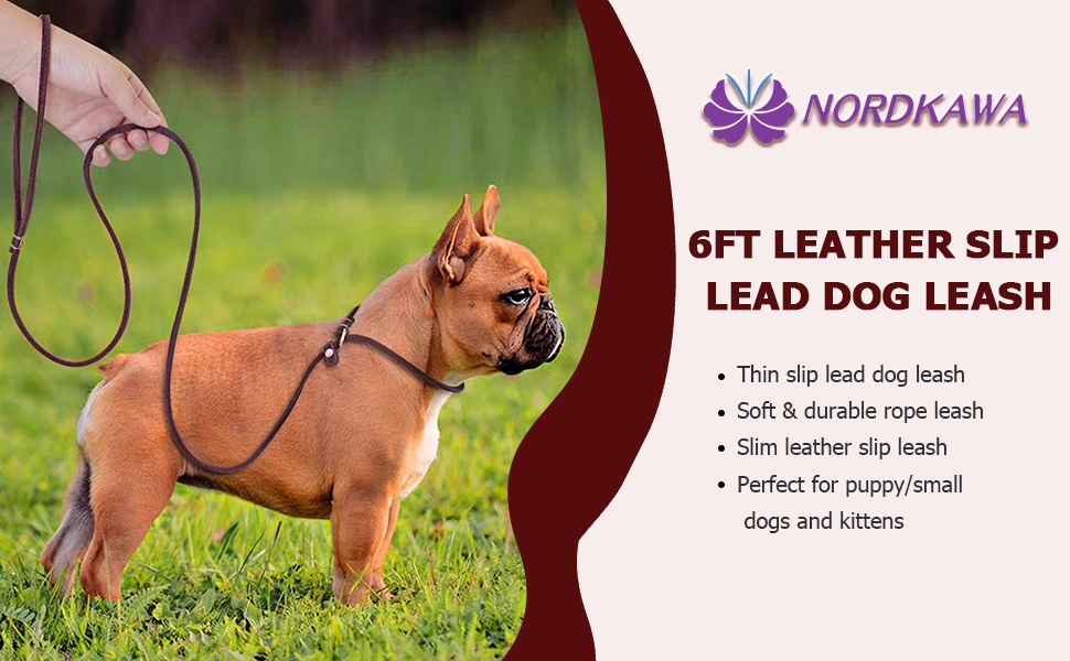 Leather Slip Lead Dog Leash, 6ft x 1/5" Slender Braided Slip Leash for Puppy