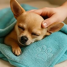 2 in 1 Pet Grooming Kit | Bath Brush with Shampoo Tank | Absorbent Towel 75 x 35 cm | Green, Microfiber and Silicone | Cleaning, Drying and Massage for Dogs and Cats 16 Perro toalla mano