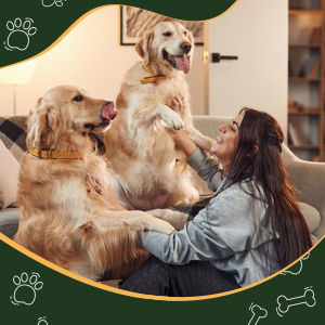 women playing with 2 dogs