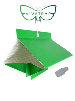 Small manufacture image 2