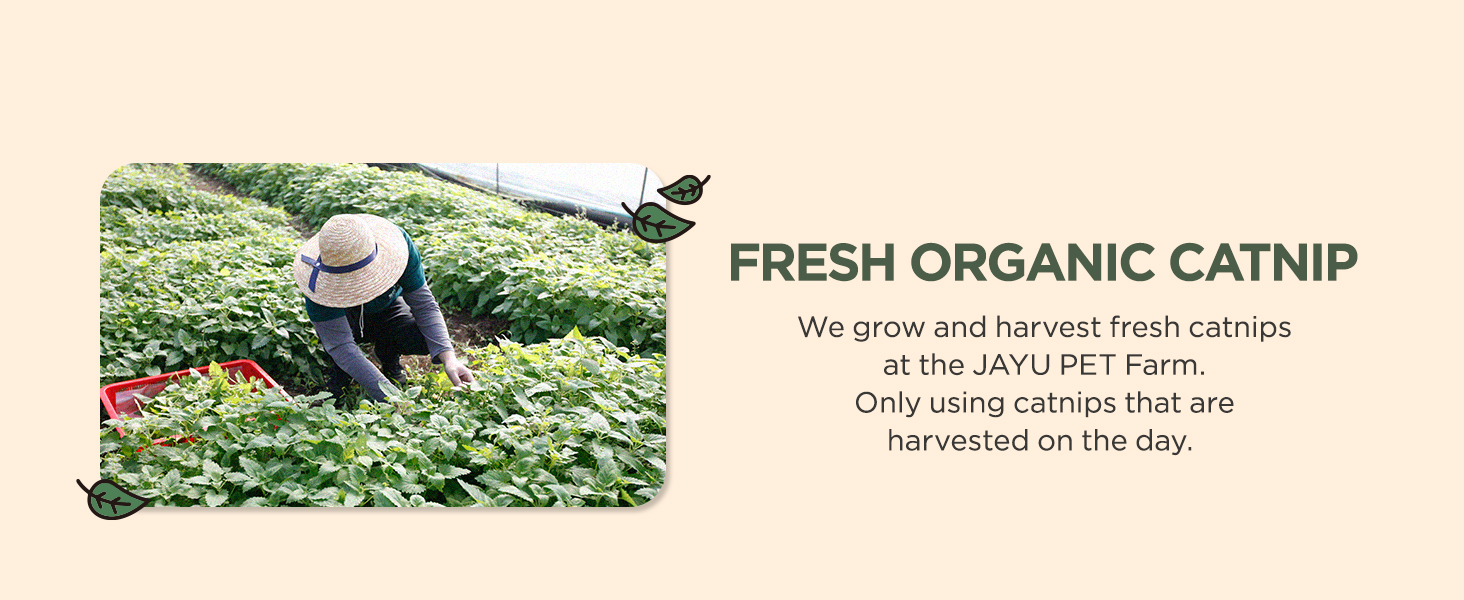 Catnip Spray for Indoor Cats