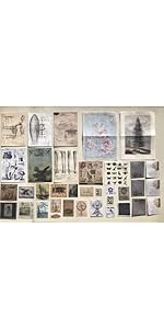 Anatomy specimen wall craft science sticker