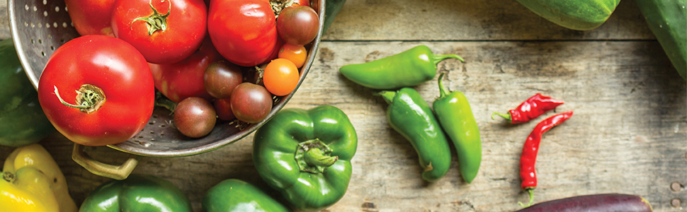 Photo of vegetables on dark background