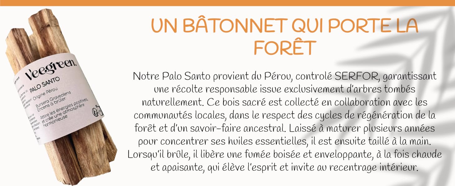 image de contenu aplus