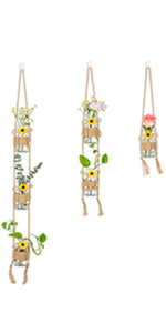 hanging vase set