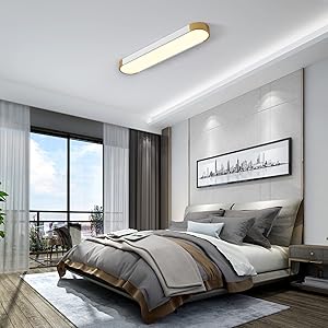 Ceiling Light for Bedroom