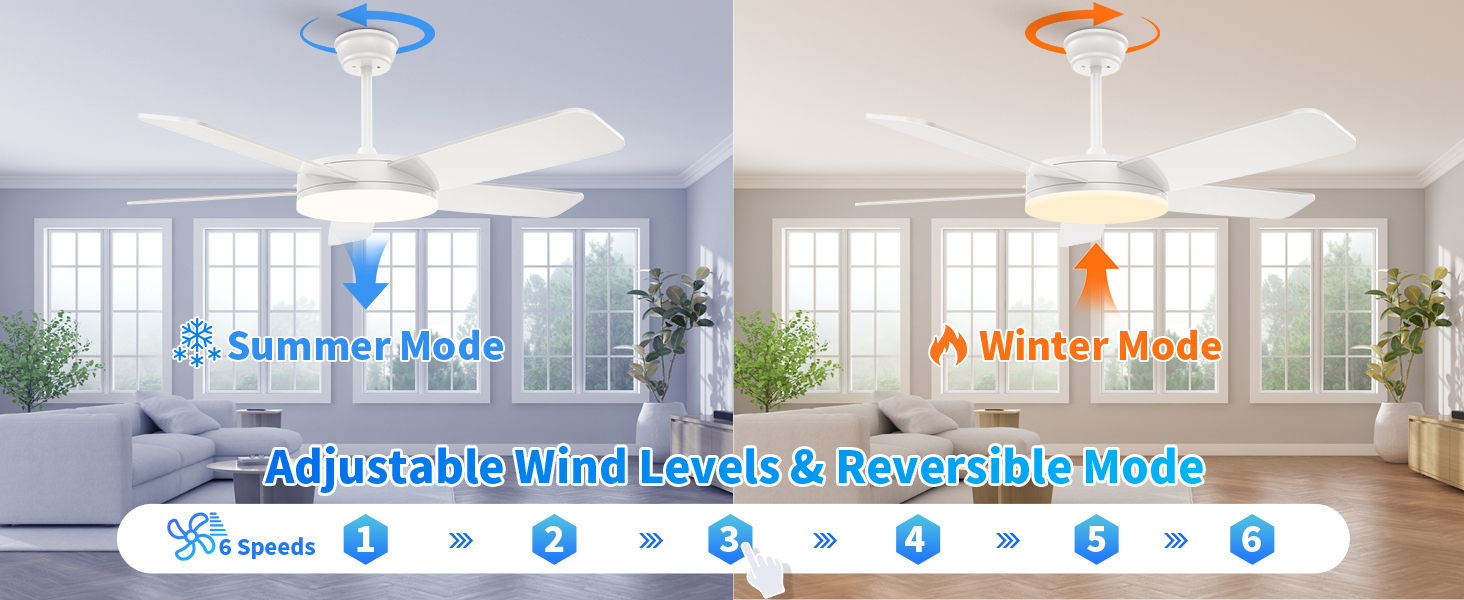 Ceiling Fans