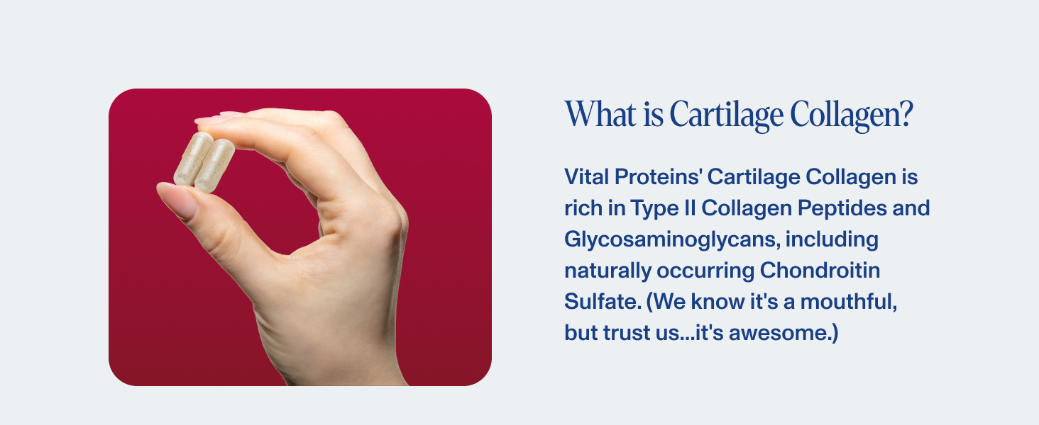 What is cartilage collagen?