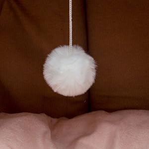 Cat Beds for Indoor