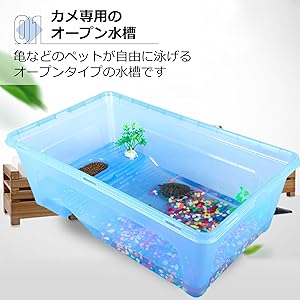 Amazon | Asdays 亀 水槽 カメ タートルボックス ひなたぼっこ
