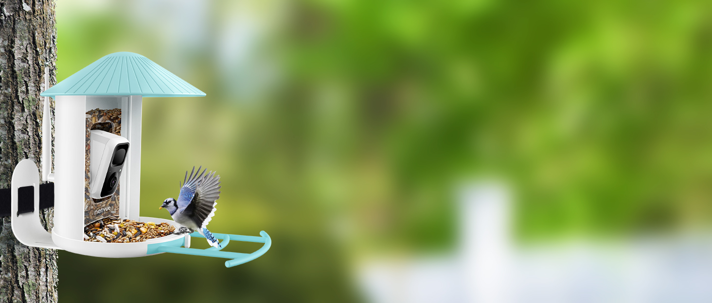 Netvue Bird Feeder with Camera, Squirrel Proof Bird House for Oriole