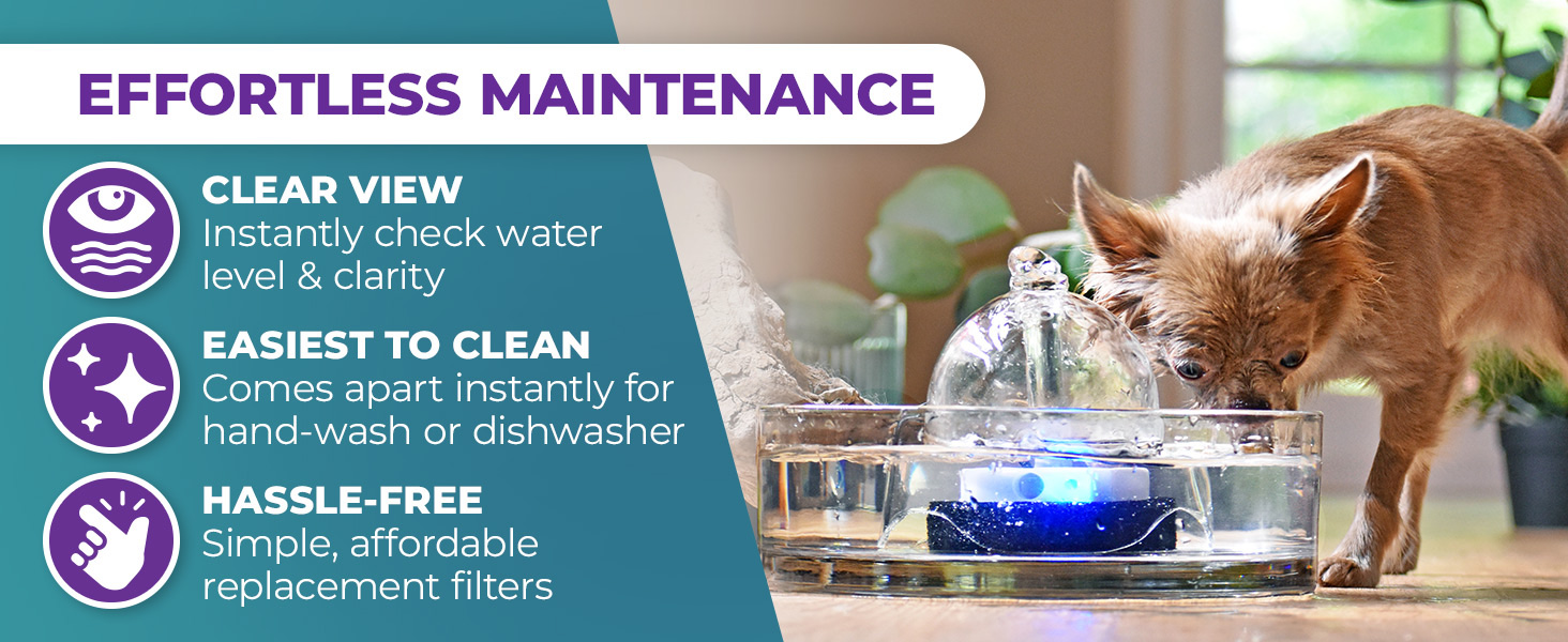 Easy clean pet fountain, Brook glass dog fountains and glass cat drinking fountains