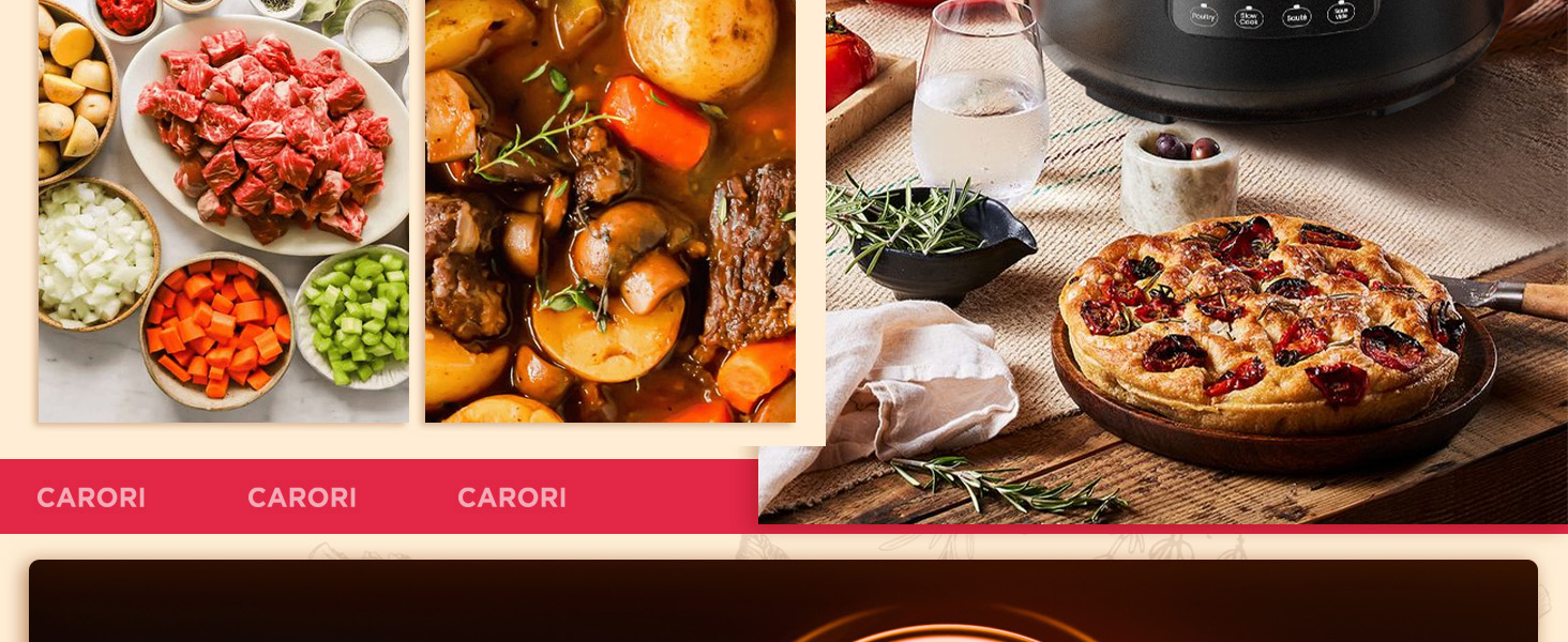 electric pressure canner instant pot instapot electric pressure cooker