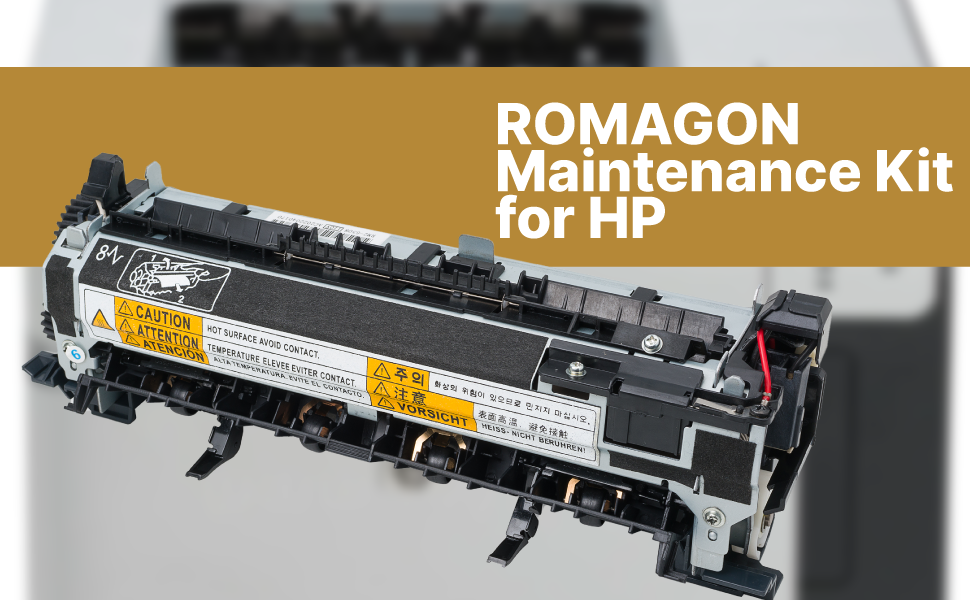 Romagon F2G76ARG (E6B6767901, F2G7667901) Maintenance