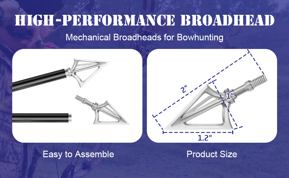 100 grain broadheads