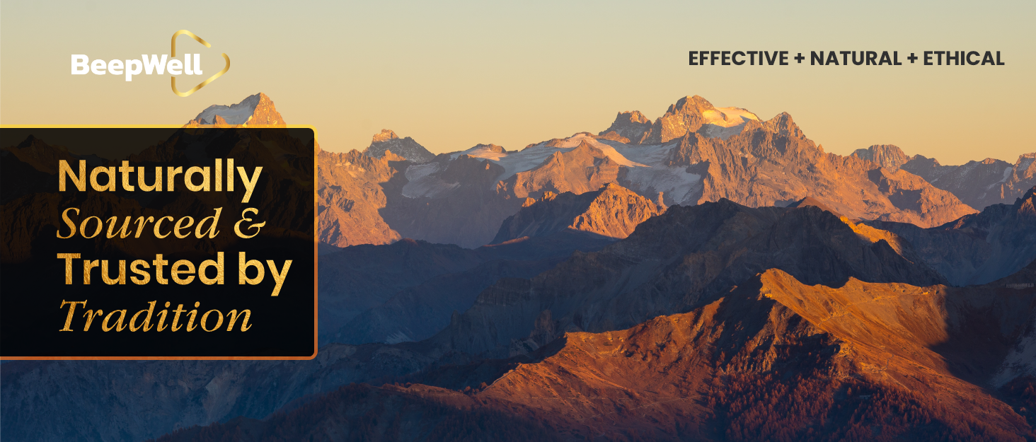 Shilajit Capsules Premium Himalayan Shilajit Extract for Strength and Vitality