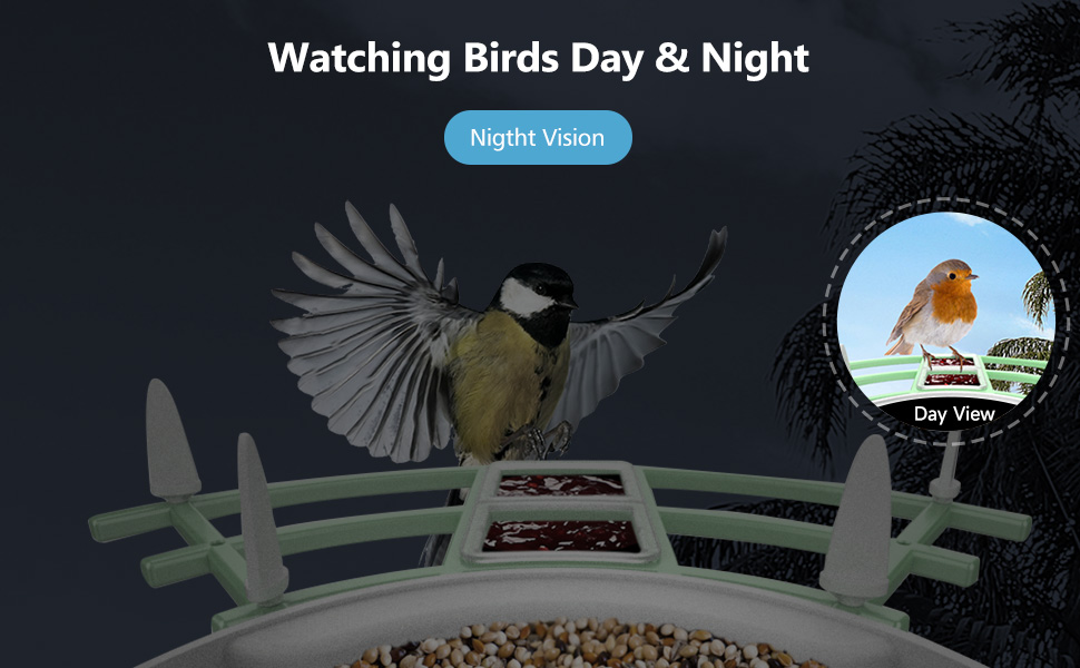 bird feeder with camera wireless outdoor