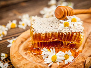 Small manufacture image 1