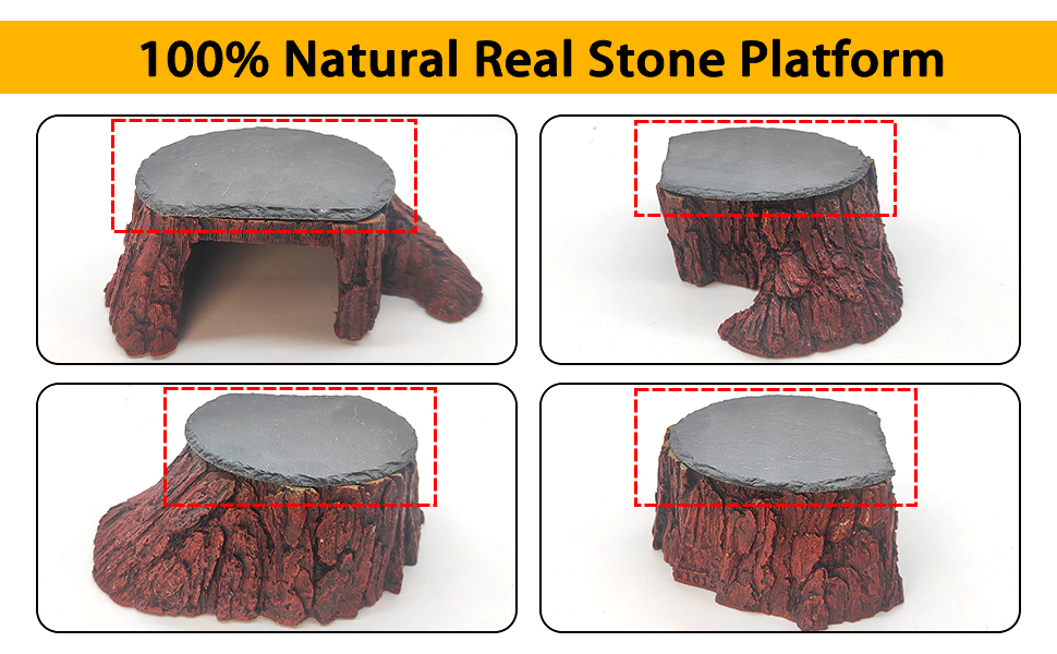 Breaded Dragon Reptile Basking Platfrom