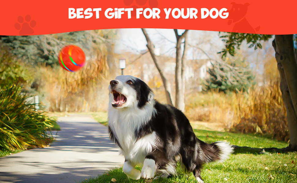 Pet Supplies LEOP Interactive Dog Toys Remote Control Ball, Automatic