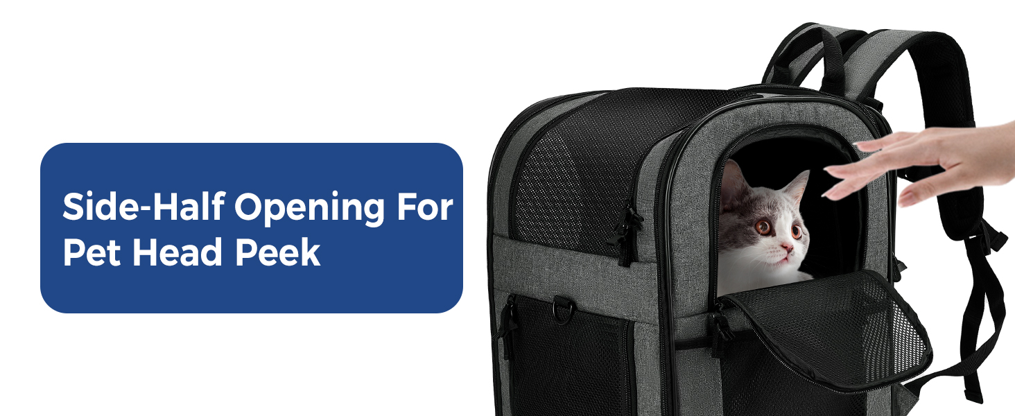 Apollo Walker Dog & Cat Carrier Backpack