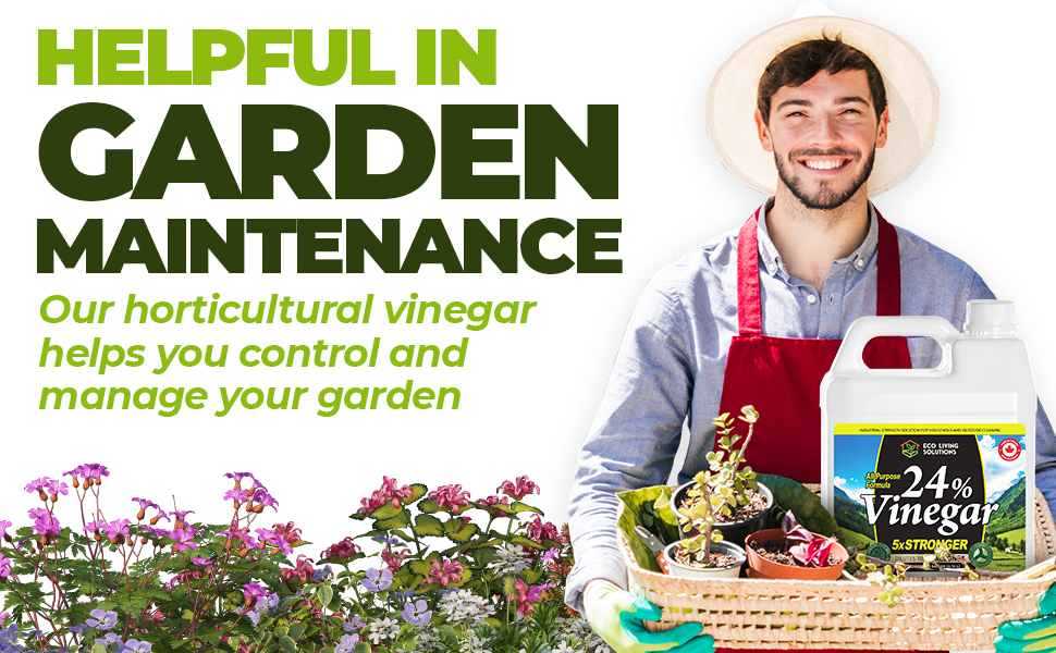 Eco Living Solutions 24 Pure Vinegar For Home & Garden 5X Stronger