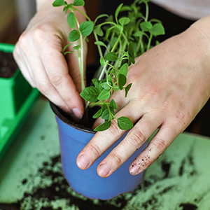 nursery pots design
