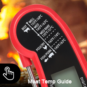 Meat Temp Guide