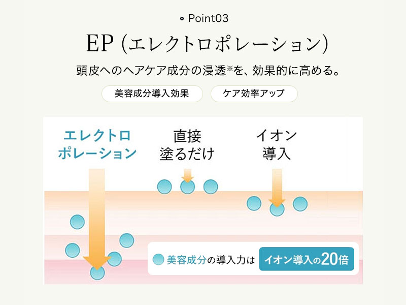 Point 03:EP(エレクトロポレーション)